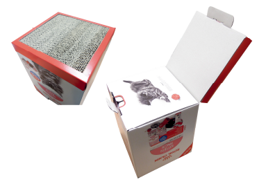 Royal Canin Kitten Starter Pack N Smith and Co Corrugated