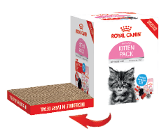 Royal Canin Kitten Starter Pack N Smith and Co Corrugated Displays and Packaging Solutions