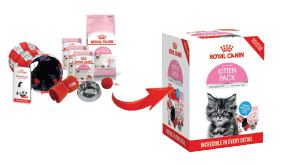 Kitten starter hot sale pack